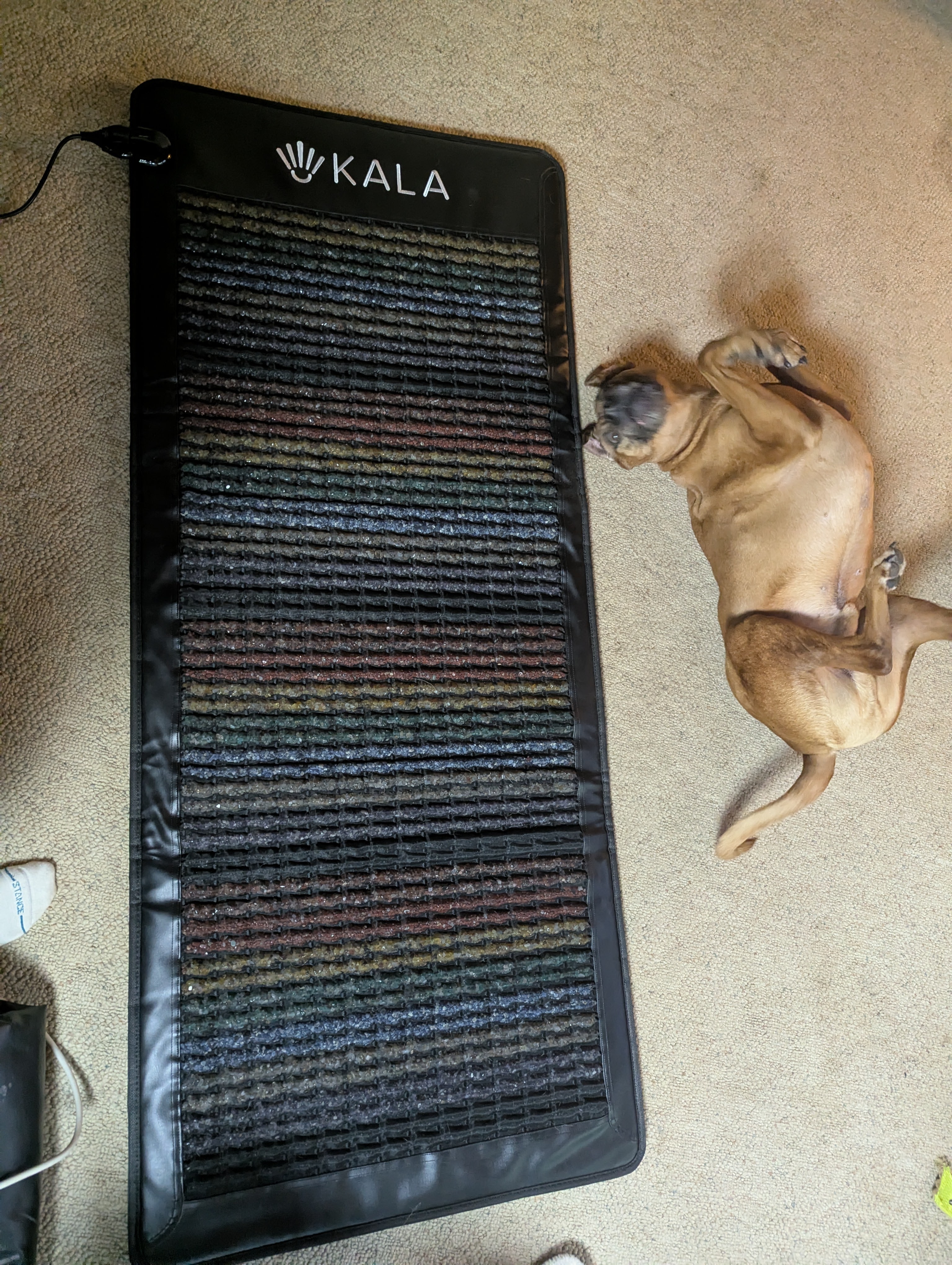 Kala PEMF Mat laid out full length