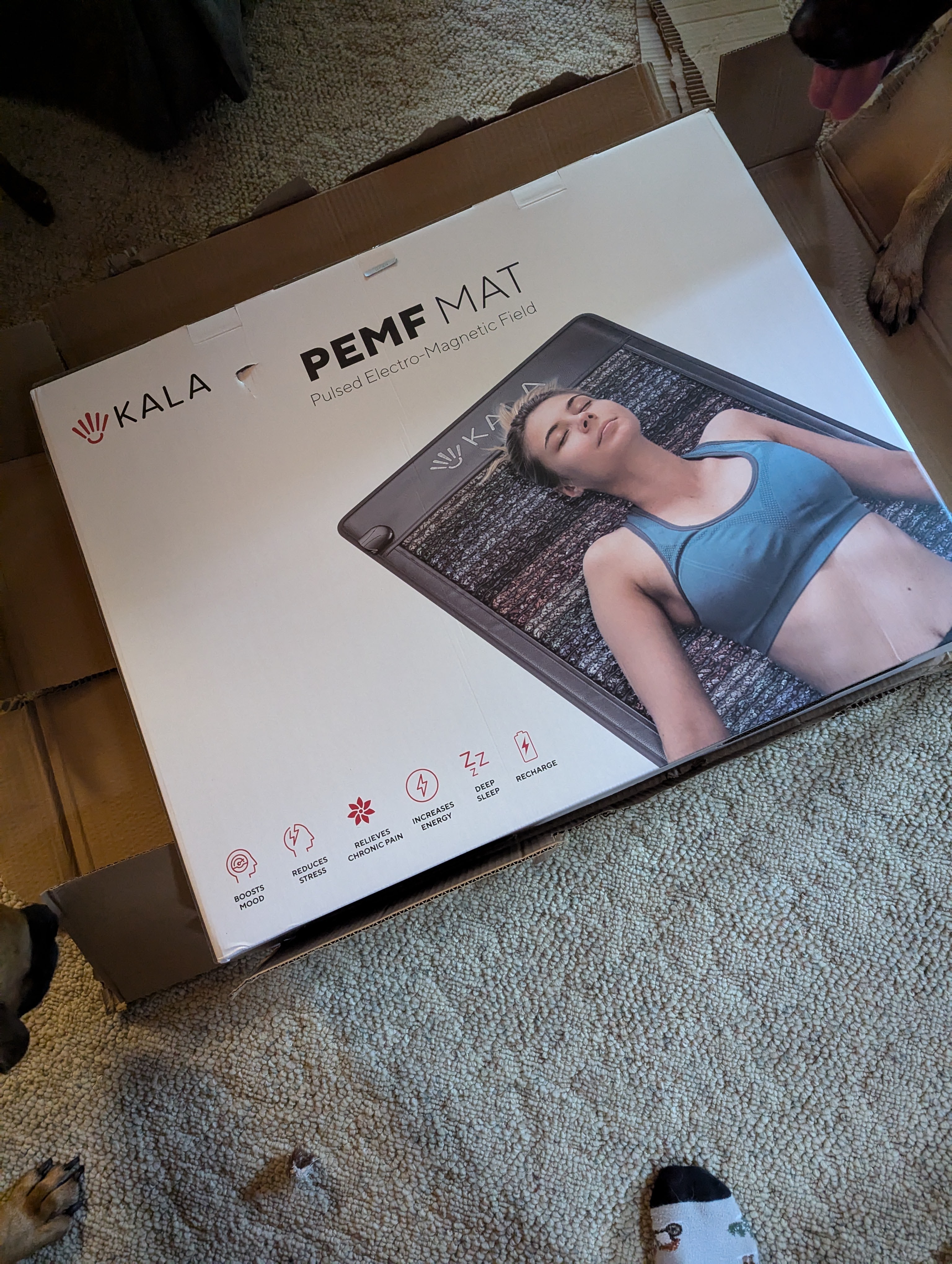 Kala PEMF Mat digital controller and settings